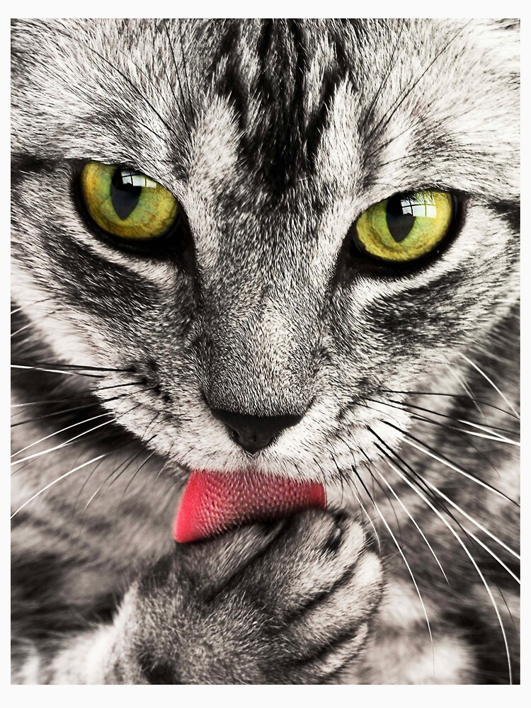 "Black cat" Tshirt by priness5 Redbubble catstagram catlover catlife catlovers hashtags