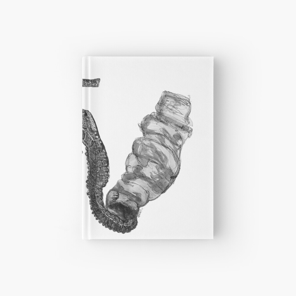 Sunday the Seahorse Hardcover Journal