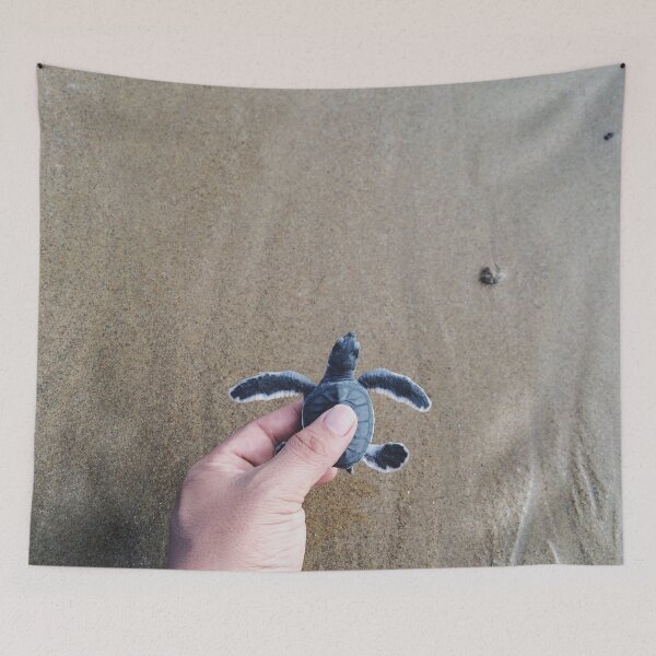 Item preview, Baby Sea Turtle on Beach designed and sold by gbgvphotography.