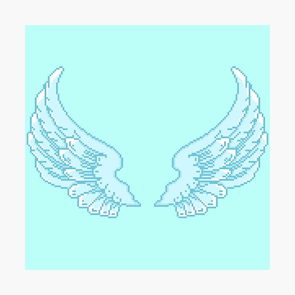 Blue wings Photographic Print