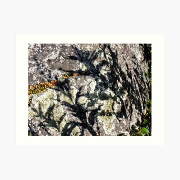 Just like a shadow Art Print