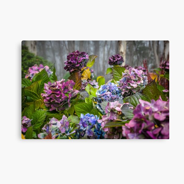 Item preview, Chrysanthemums designed and sold by Russell Charters.