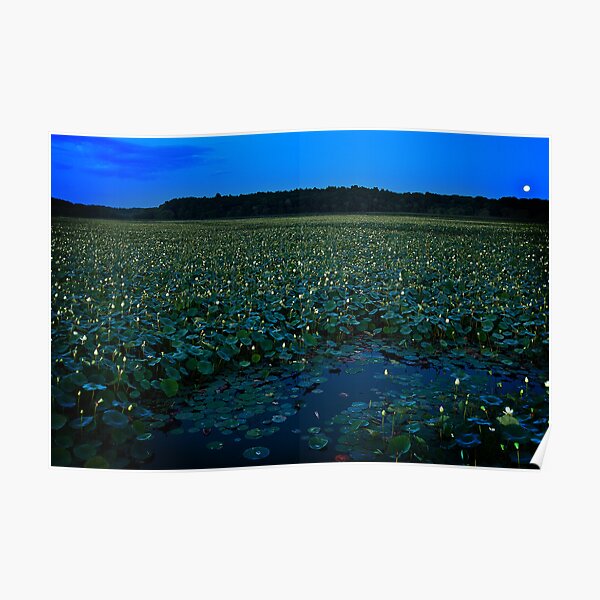 August's Full Lotus Moon Poster