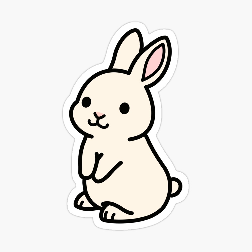 White Bunny\