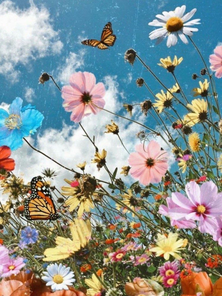 Butterfly Aesthetic Background