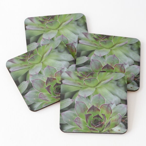 Item preview, Hens designed and sold by Tamara McDonnell.