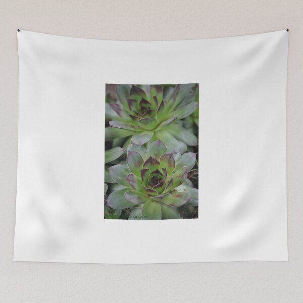 Item preview, Hens designed and sold by Tamara McDonnell.