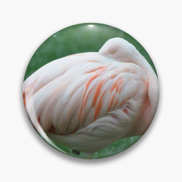 Item preview, Sleeping Chilean Flamingo designed and sold by Tamara McDonnell.