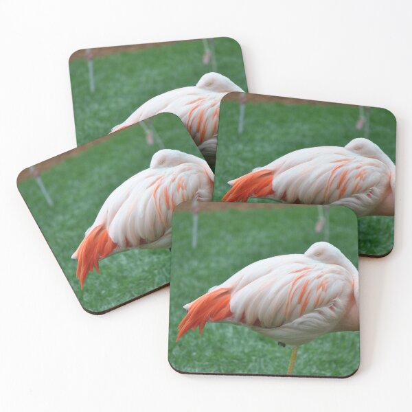 Item preview, Sleeping Chilean Flamingo designed and sold by Tamara McDonnell.