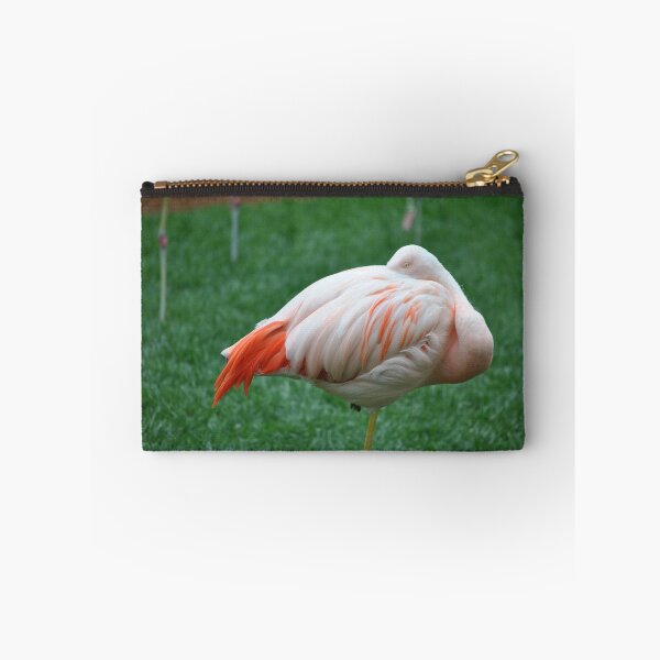Item preview, Sleeping Chilean Flamingo designed and sold by Tamara McDonnell.