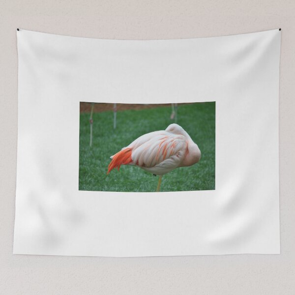 Item preview, Sleeping Chilean Flamingo designed and sold by Tamara McDonnell.