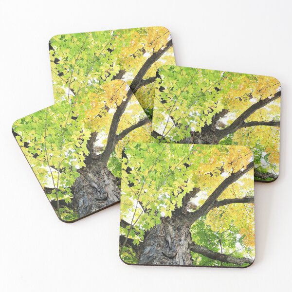 Item preview, the trees have eyes designed and sold by BBrightman.