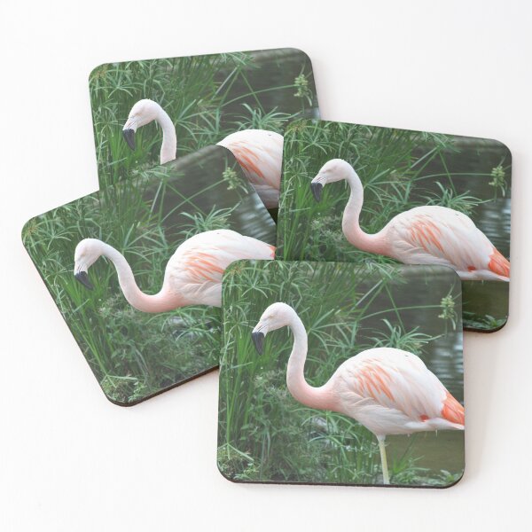Item preview, Chilean Flamingo designed and sold by Tamara McDonnell.