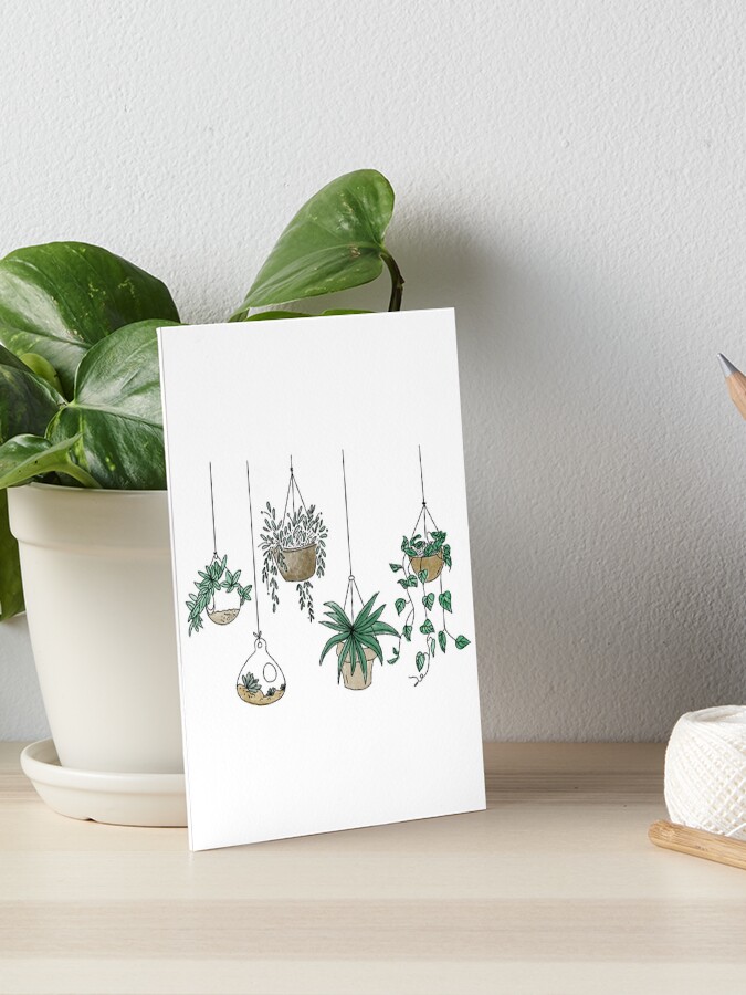 Hanging plants 