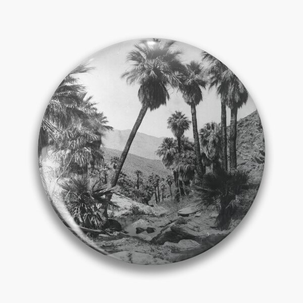 Item preview, Palm Springs - Black and White Photography designed and sold by Slydell1.