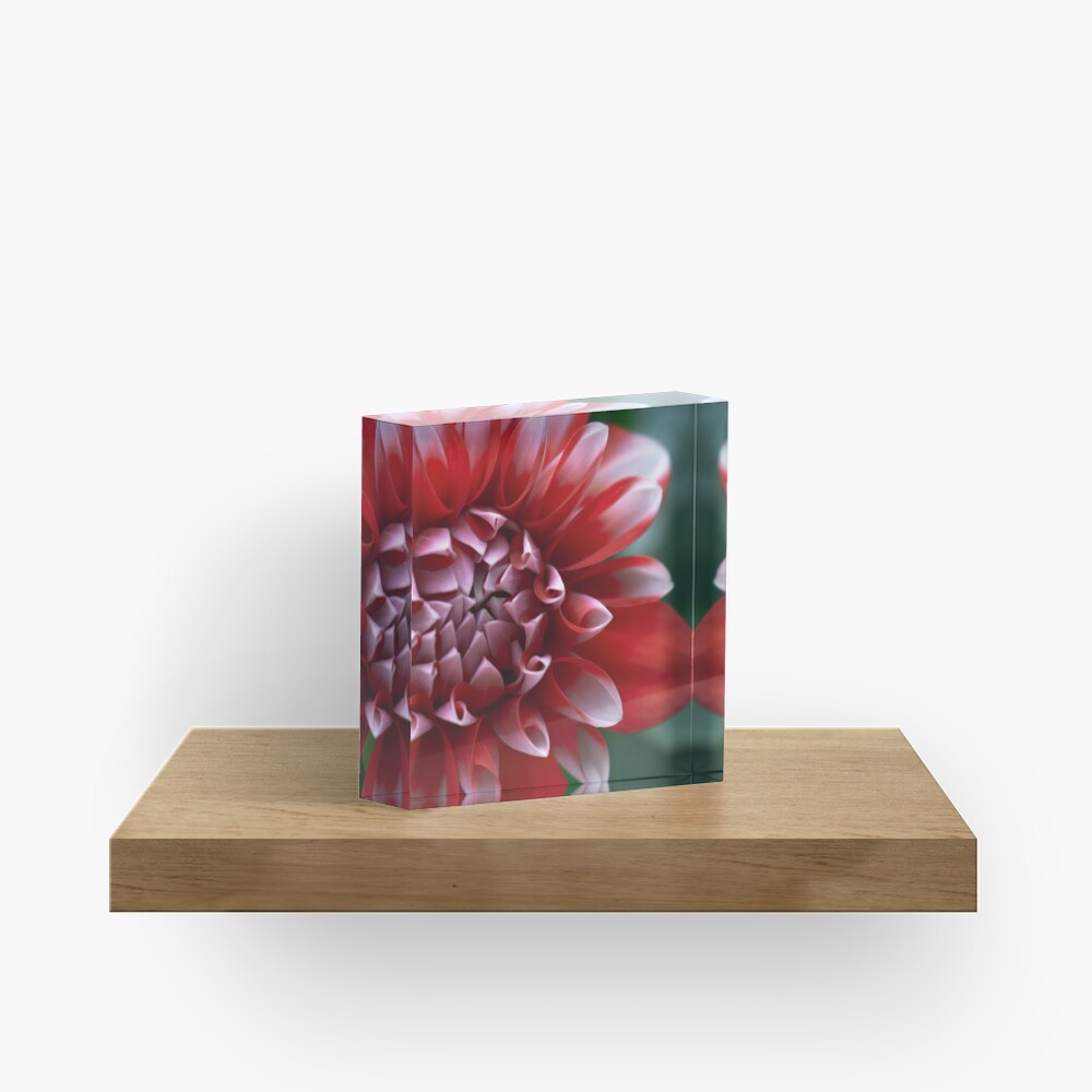 Item preview, Acrylic Block designed and sold by DonnaMariePhoto.