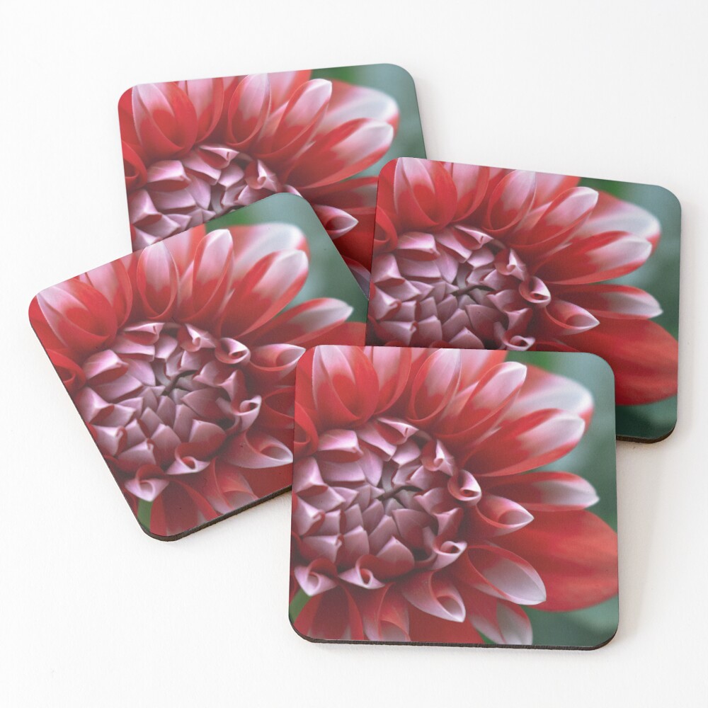 Item preview, Coasters (Set of 4) designed and sold by DonnaMariePhoto.