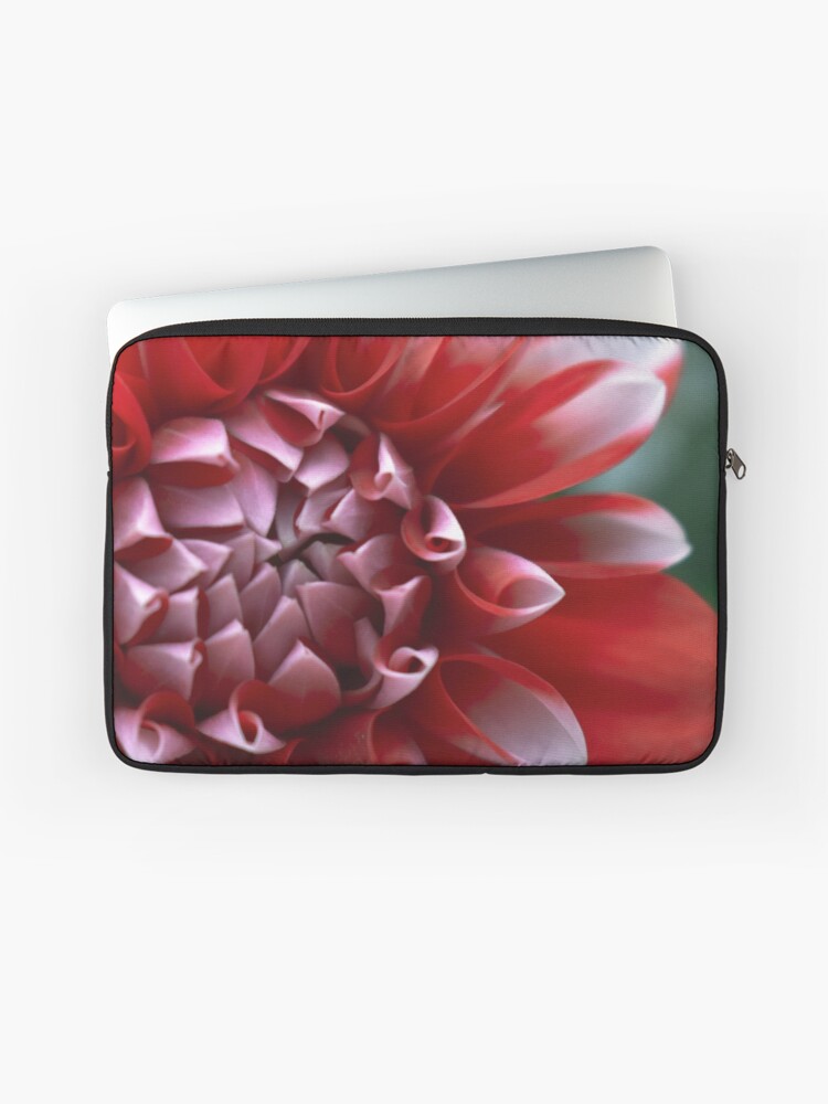 Thumbnail 1 of 2, Laptop Sleeve, Red and White Petals designed and sold by DonnaMariePhoto.