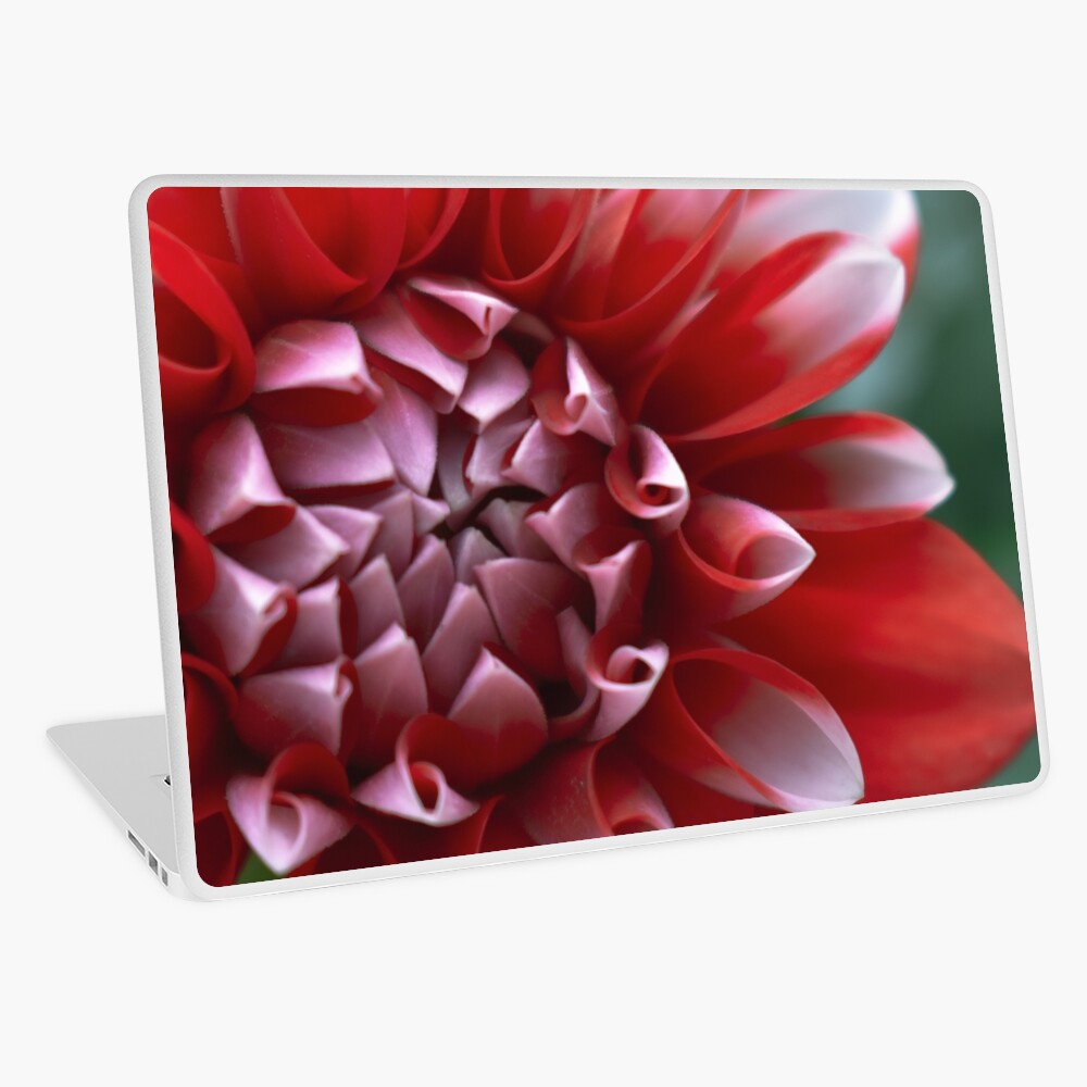 Item preview, Laptop Skin designed and sold by DonnaMariePhoto.