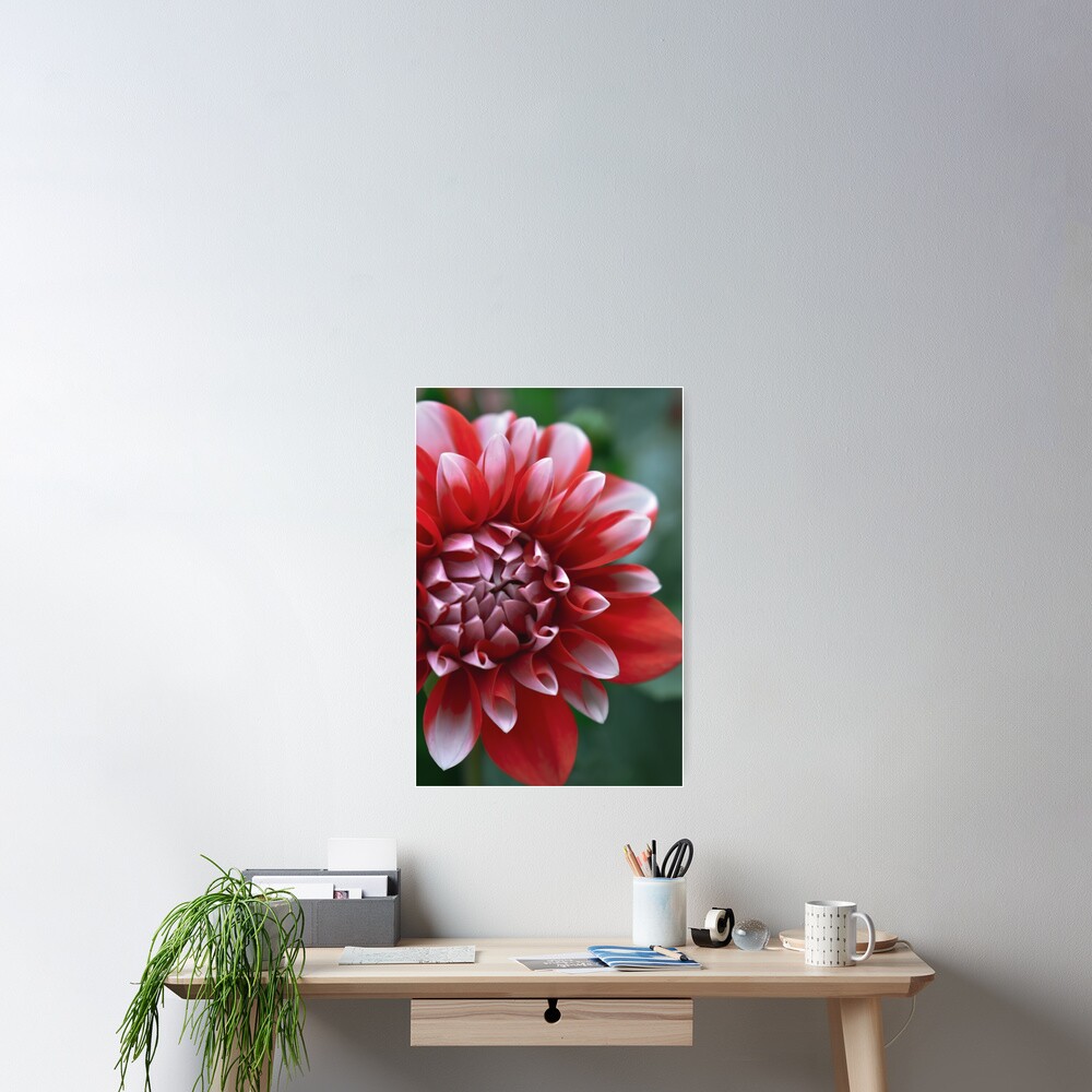 Item preview, Poster designed and sold by DonnaMariePhoto.