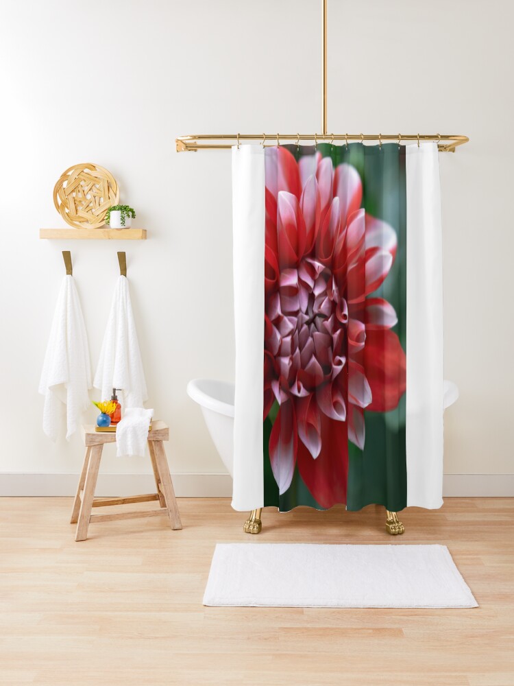 Thumbnail 1 of 5, Shower Curtain, Red and White Petals designed and sold by DonnaMariePhoto.