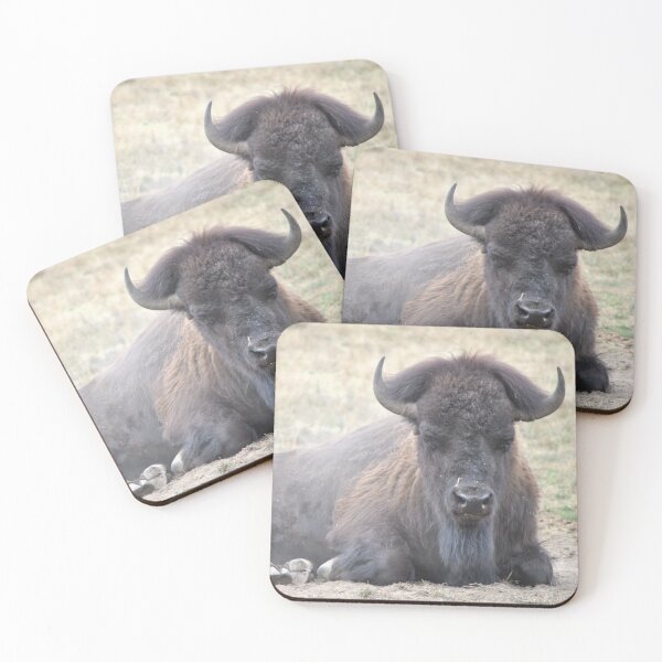 Item preview, Bison designed and sold by Tamara McDonnell.
