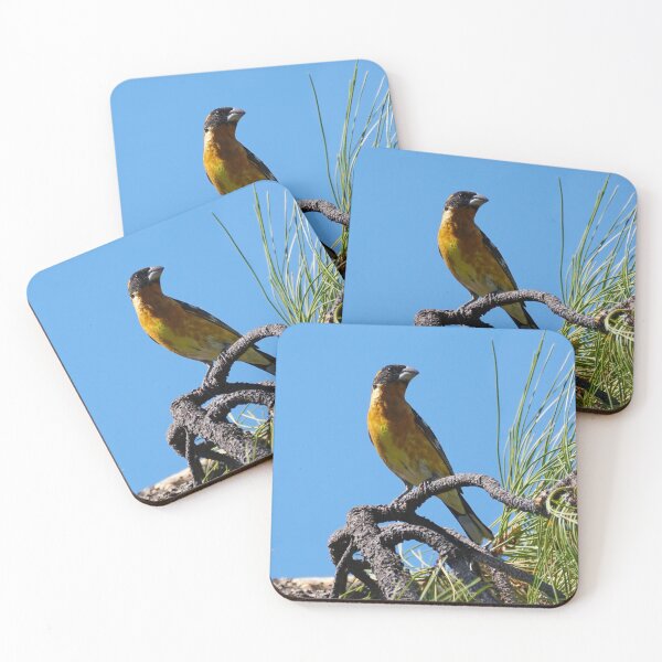 Item preview, A Black Headed Grosbeak Perched on a Branch designed and sold by MomentofPercep.