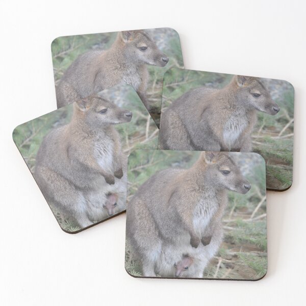 Item preview, Wallaby and Joey designed and sold by Tamara McDonnell.