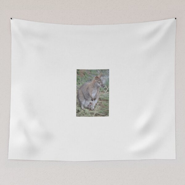 Item preview, Wallaby and Joey designed and sold by Tamara McDonnell.