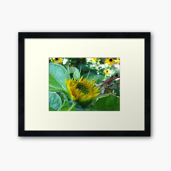 Item preview, September Sunflower designed and sold by MarianBendeth.
