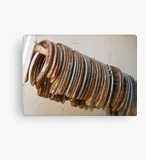 Horse Shoes Canvas Print