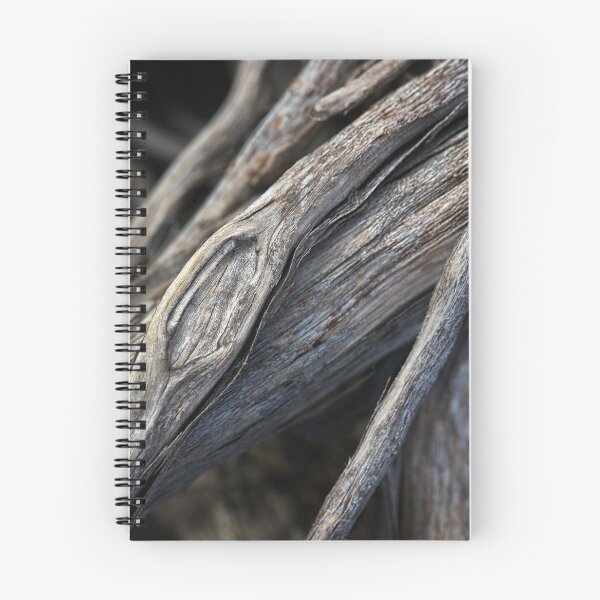 Item preview, Crusoe Beach #09 designed and sold by Malcolm Heberle.