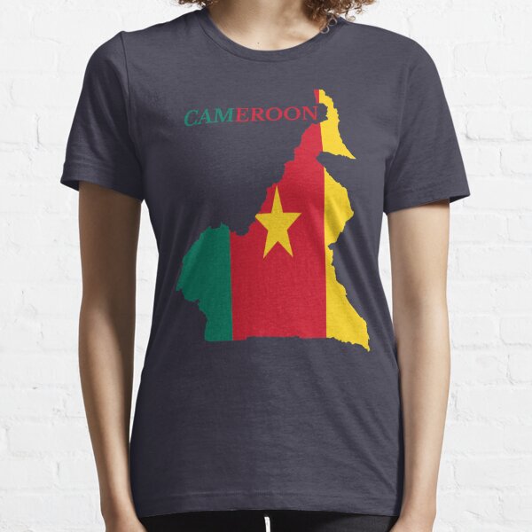 Carte Du Cameroun Avec Le Drapeau Camerounais Sur Une Carte Du