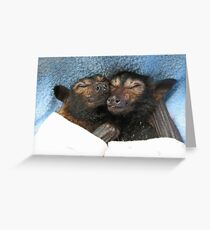 Errol und Luna - Spectacled Flying Fox Grußkarte