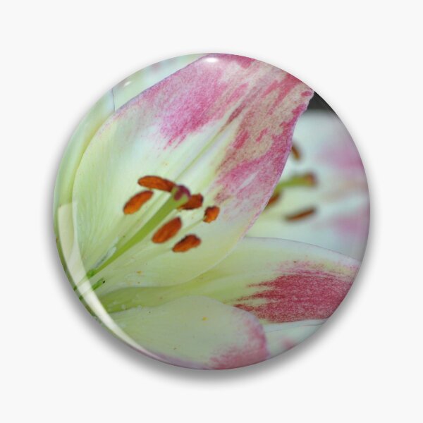 Item preview, Precious Almost Painted designed and sold by Tamara McDonnell.