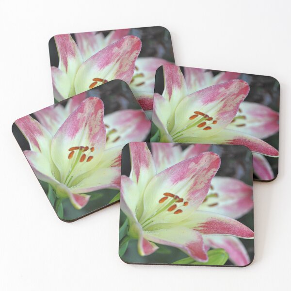 Item preview, Precious Almost Painted designed and sold by Tamara McDonnell.