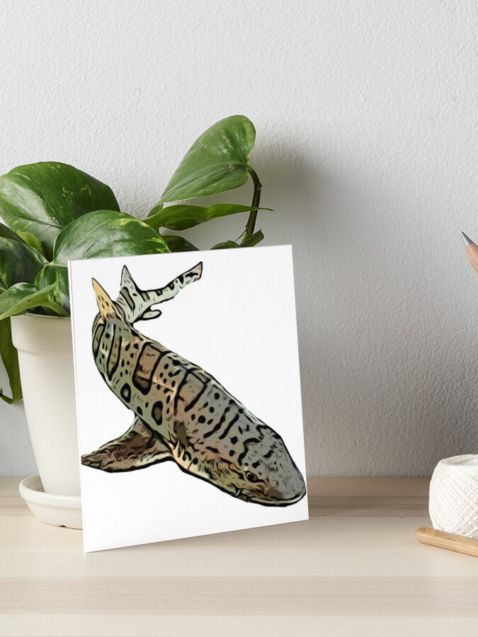 Leopard Shark  Art Board Print for Sale by Noah357