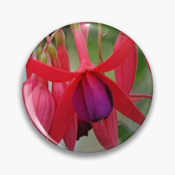 Item preview, Brillant Fuschia Blooms designed and sold by Tamara McDonnell.