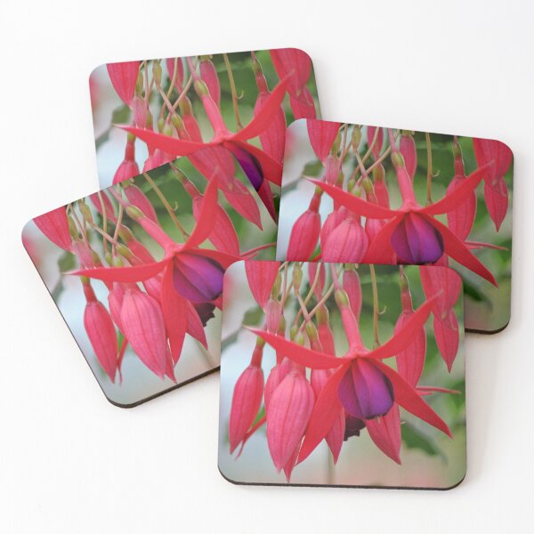 Item preview, Brillant Fuschia Blooms designed and sold by Tamara McDonnell.
