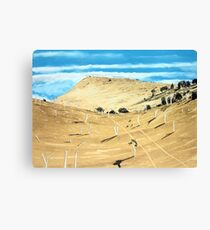 Southern Midlands Dry Canvas Print