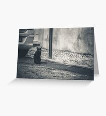 Black Cat Greeting Card