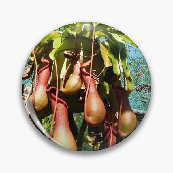 Item preview,  Nepenthes designed and sold by Lyn Walker.
