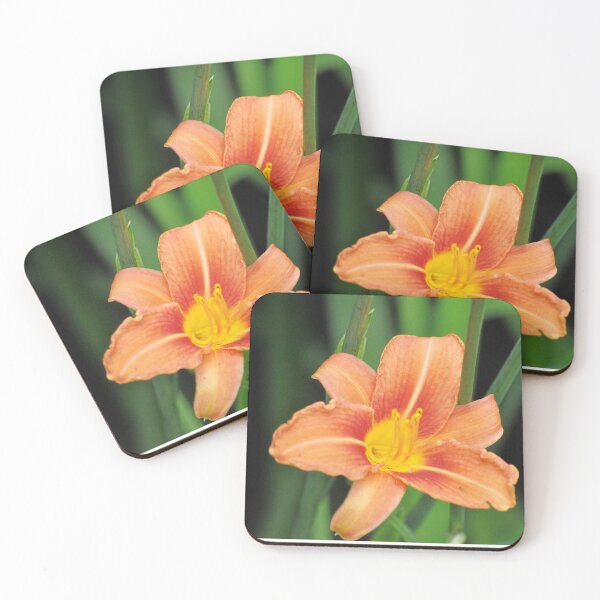 Item preview, Peach and Yellow Daylily designed and sold by Tamara McDonnell.