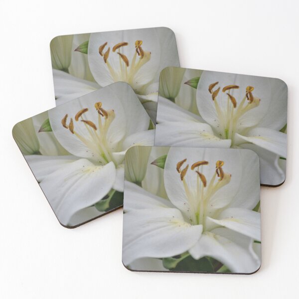 Item preview, Fairy Dusted Lily designed and sold by Tamara McDonnell.