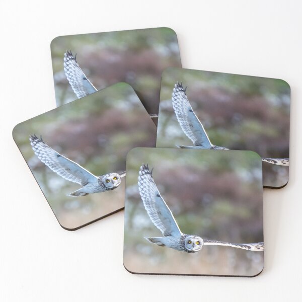 Item preview, short eared owl designed and sold by tammy mellor.