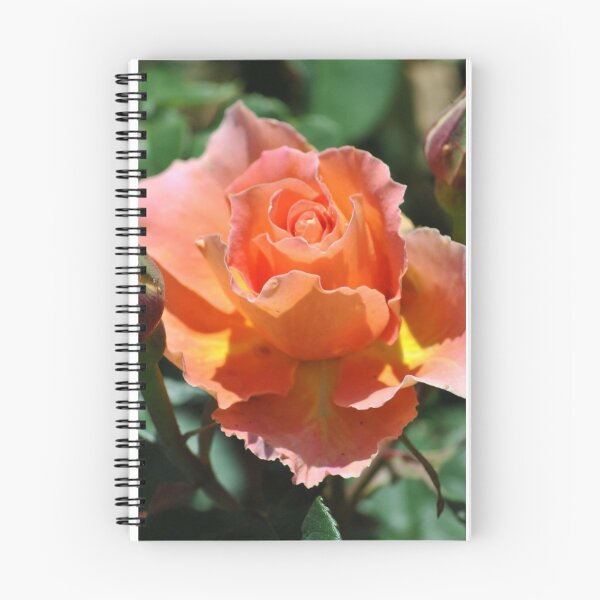 Item preview, Ruffled Rose designed and sold by Tamara McDonnell.