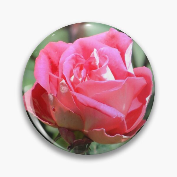 Item preview, Rose in Bloom designed and sold by Tamara McDonnell.