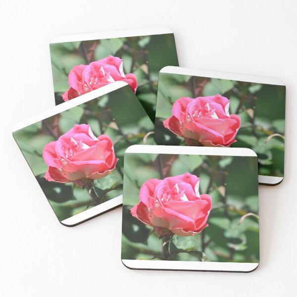 Item preview, Rose in Bloom designed and sold by Tamara McDonnell.