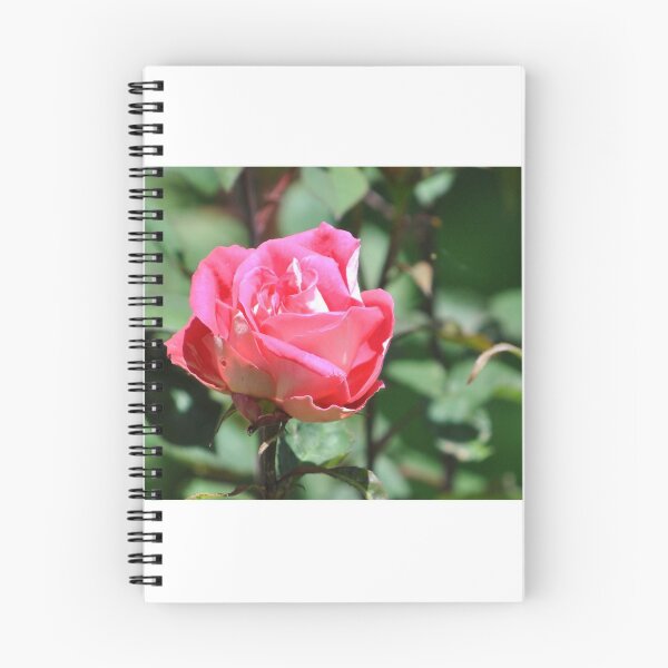Item preview, Rose in Bloom designed and sold by Tamara McDonnell.