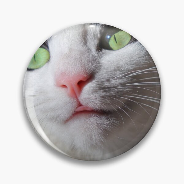 Item preview, Cat photoshoot! designed and sold by MarianIlie.